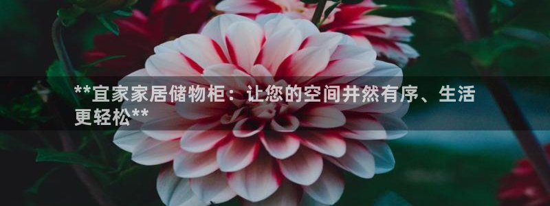 UG环球代理合作